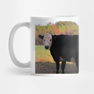 White Face Cow Mug